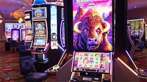 mgm99win
